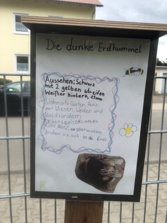 8 - Bienenprojekttag - Plakate