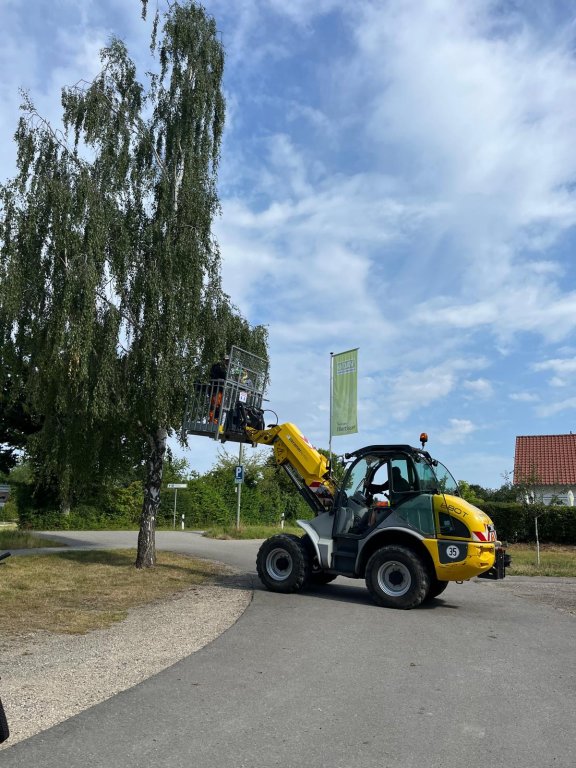Nistkästen2 Nistkästen2